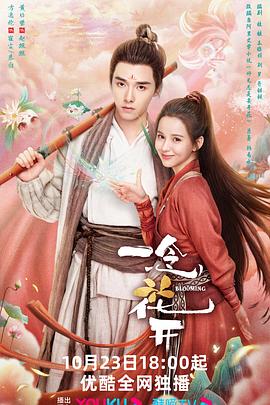 自动优化软件下载网站